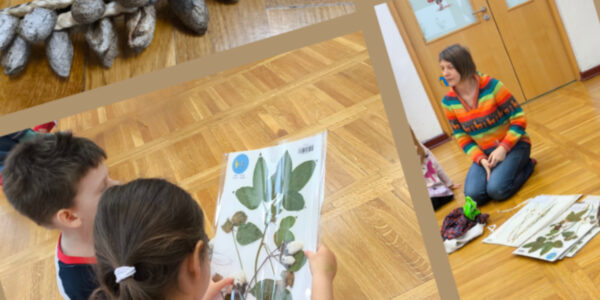 Ubrania, naczynia i zabawki z roślin